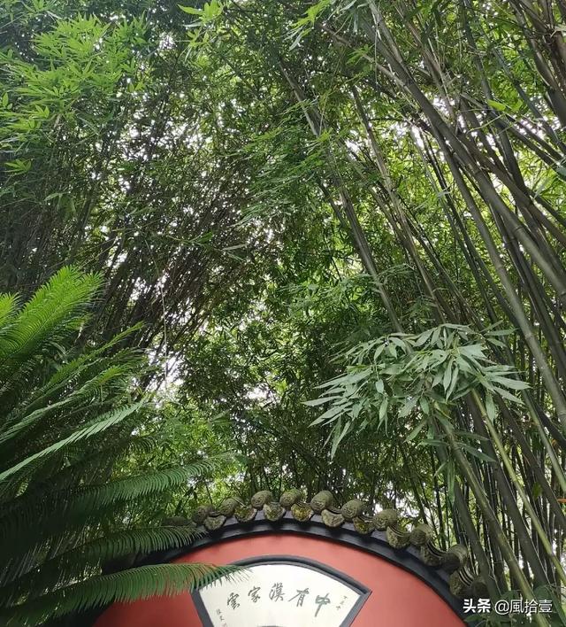 乐不思蜀故事_乐不思蜀故事中的主人公的结局是什么