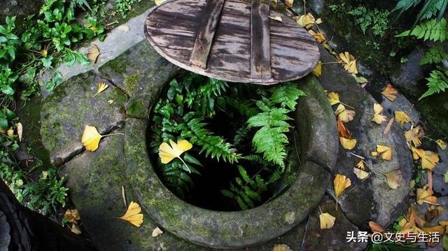 中国十大恐怖事件离奇事件_中国十大恐怖事件离奇事件是什么