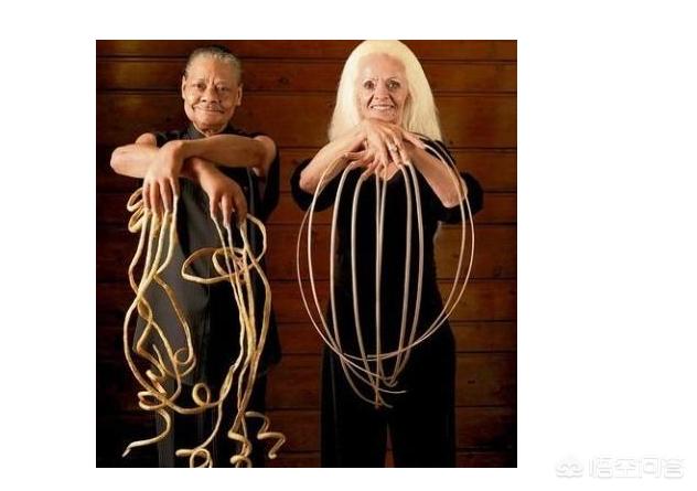 世界上最长指甲有多长