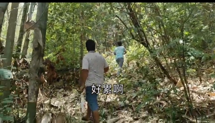 观音土的功效_观音土有啥用