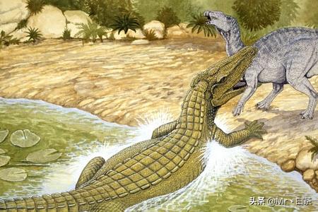 帝鳄vs霸王龙哪个厉害_帝鳄vs霸王龙vs巨齿鲨