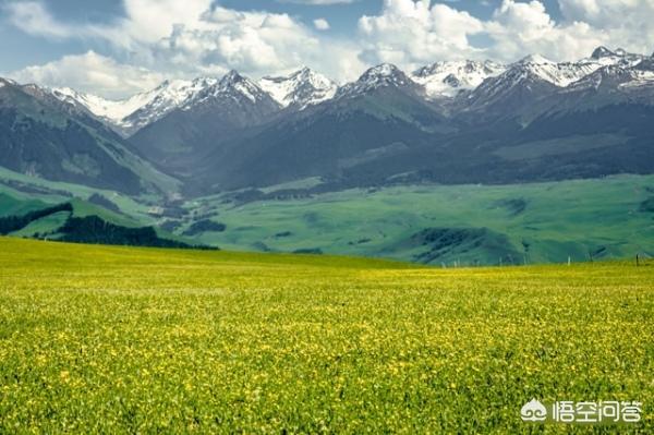 中国最大的是哪个城市