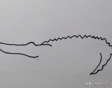 帝王鳄怎么画_帝王鳄怎么画的可怕