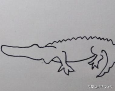 帝王鳄怎么画_帝王鳄怎么画的可怕