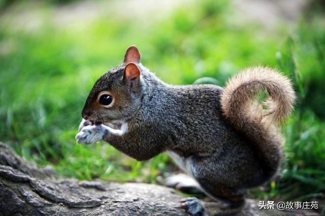 小学生小故事大全简短(小学生小故事大全简短一分钟)