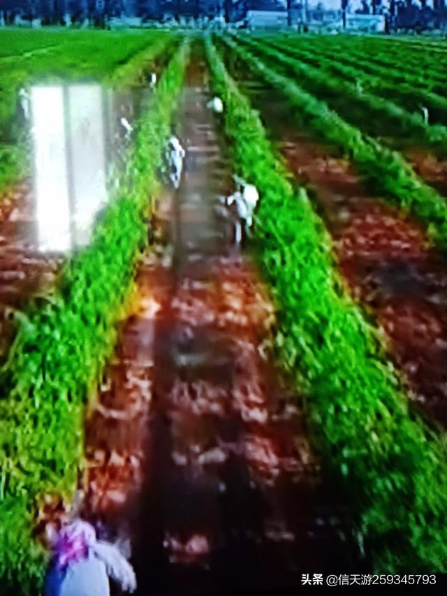 小学生小故事大全简短(小学生小故事大全简短一分钟)