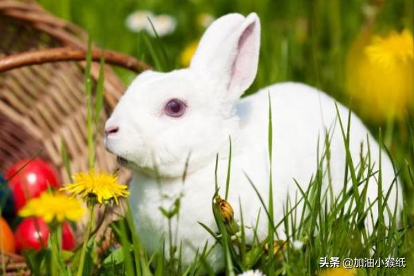 哄女朋友睡觉的故事大全暖心的