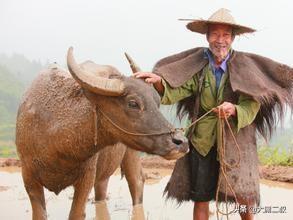 有意义的教育故事及感悟（有教育意义的小故事及感悟）