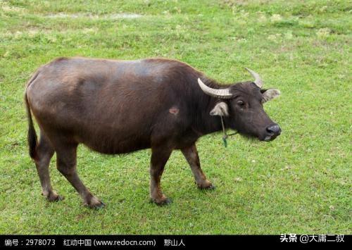 有意义的教育故事及感悟（有教育意义的小故事及感悟）