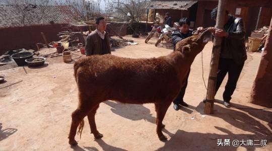 有意义的教育故事及感悟（有教育意义的小故事及感悟）