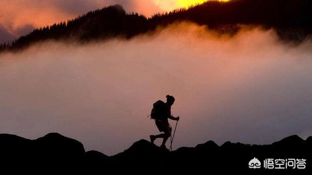 坚持的心态小故事大全（关于坚持的小故事和感悟）