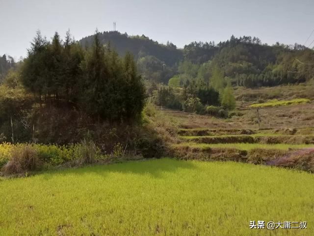 塞翁失马焉知非福的寓意(塞翁失马焉知非福的寓意和道理)