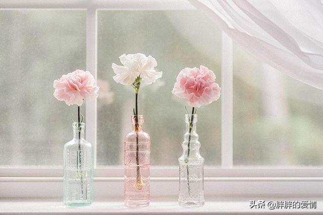 励志正能量（励志正能量句子）