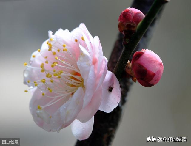 励志正能量（励志正能量句子）