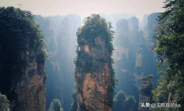 二年级童话故事作文怎么写（二年级童话故事作文怎么写简单）