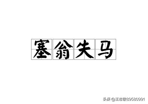 塞翁失马最佳生肖（塞翁失马最佳生肖动物是什么）