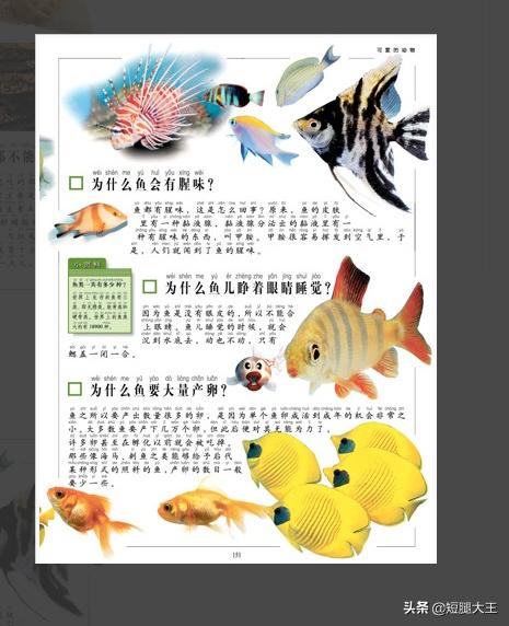 十万个为什么儿童版（十万个为什么少儿版）