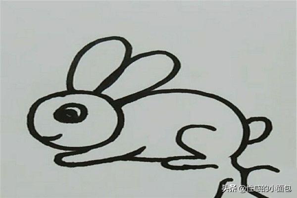 兔子怎么画简单又漂亮（简笔兔子怎么画简单又好看）