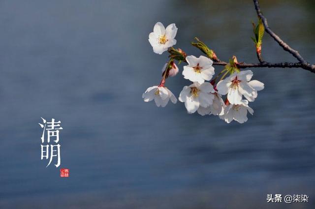 清明节有关的小故事（关于清明节的小故事大道理）