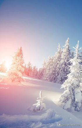 说一个历史故事成语（10个历史故事的成语）