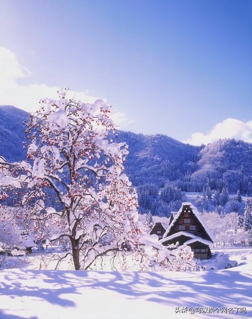 说一个历史故事成语（10个历史故事的成语）