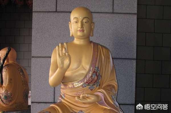 佛陀智慧故事大全（佛陀的智慧故事）