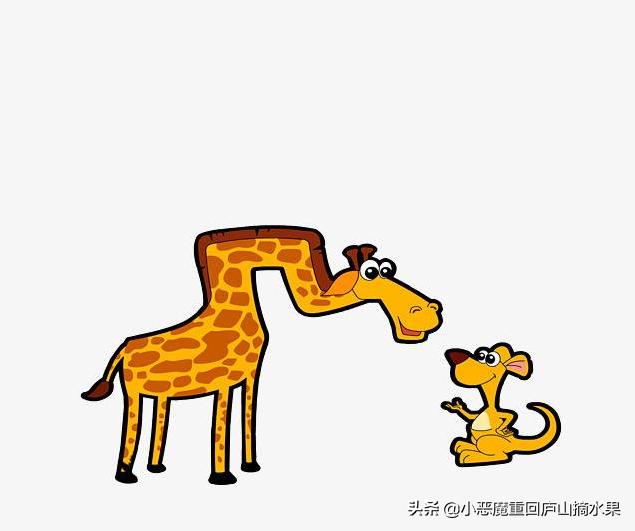 销售晨会小故事分享及感悟（销售晨会小故事分享及感悟心得）